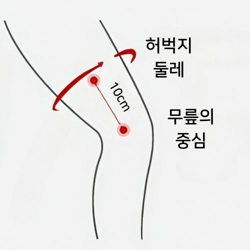 허벅지 둘레 측정